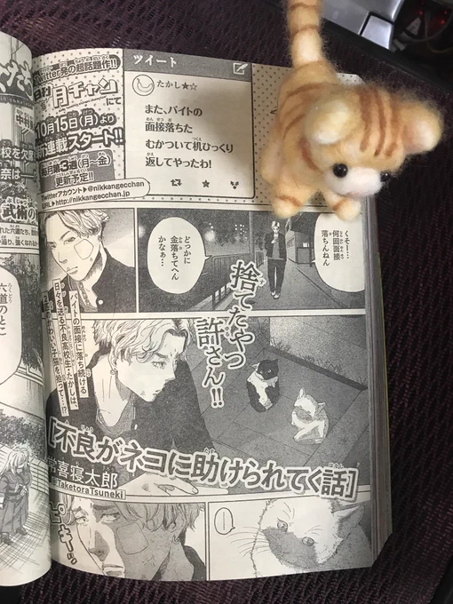 『告知?』
Twitterで更新してた『不良がネコに助けられてく話』が日刊月チャンで連載することになりました?
皆様の応援のおかげです…
2本連載になるので、毎月5ページという短い更新になりますが、よろしくお願いします！
1話リン… 