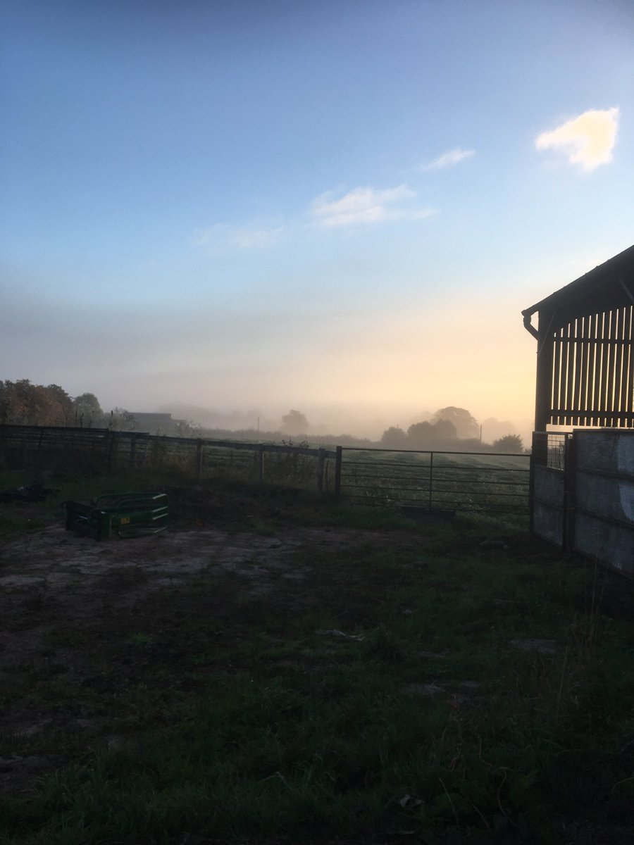 JobfarmScot's tweet image. A lovely morning to take a cow to market! What jobs are associated with that: #stockman #farmer #auctioneer #animalhealthofficer #APHA #transport #buyer #butcher #suppermarkets #nutrionist #artificalinsemination #vet  all the ingredients to grow a cow farm2fork, #jobs #farmjob