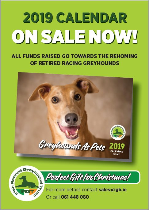 Ted The Retired Greyhound tweet media