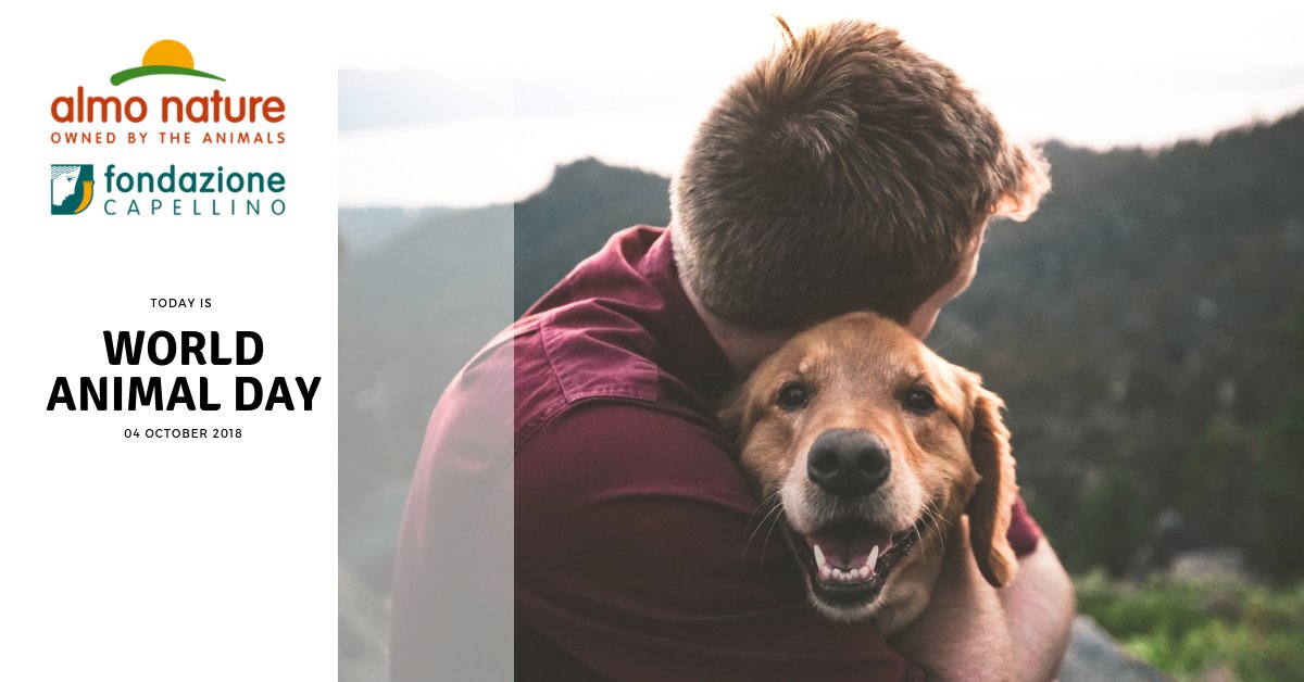 AlmoNatureUK's tweet photo. It’s World Animal Day today 🐶 🐈 A great time to honour your companion or support an animal charity. How are you acknowledging this day?  Let us know! 💚
#WorldAnimalDay #ACompanionAnimalForLife https://t.co/VtSYFYhg89