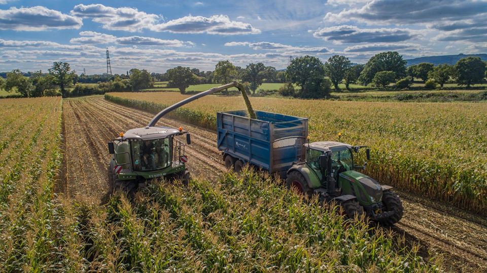 Fendt_UKIreland's tweet photo. Some stunning images here of JB Contractingโs Katana 85 working with Brian Morris Contracting in maize, courtesy of Charlie Redvers Photography - see more on our Facebook page at https://t.co/HUx0pcH9ee
#AheadOfTime #Fendt #Maize18 #Harvest18 @RFMrossfarm https://t.co/0J8YskYRCe