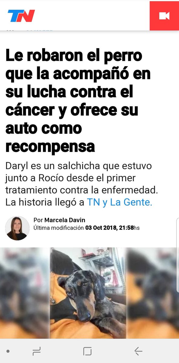 negritomolinero's tweet photo. El hijo de p#&amp;#^#&amp; que le robo el perro a esta chica que esta desesperada, te aseguro que las va a pagar! Por favor ayudemosla a encontrarlo, no se puede ser tan infeliz para robarte un perro! https://t.co/iBRB2jvjjc