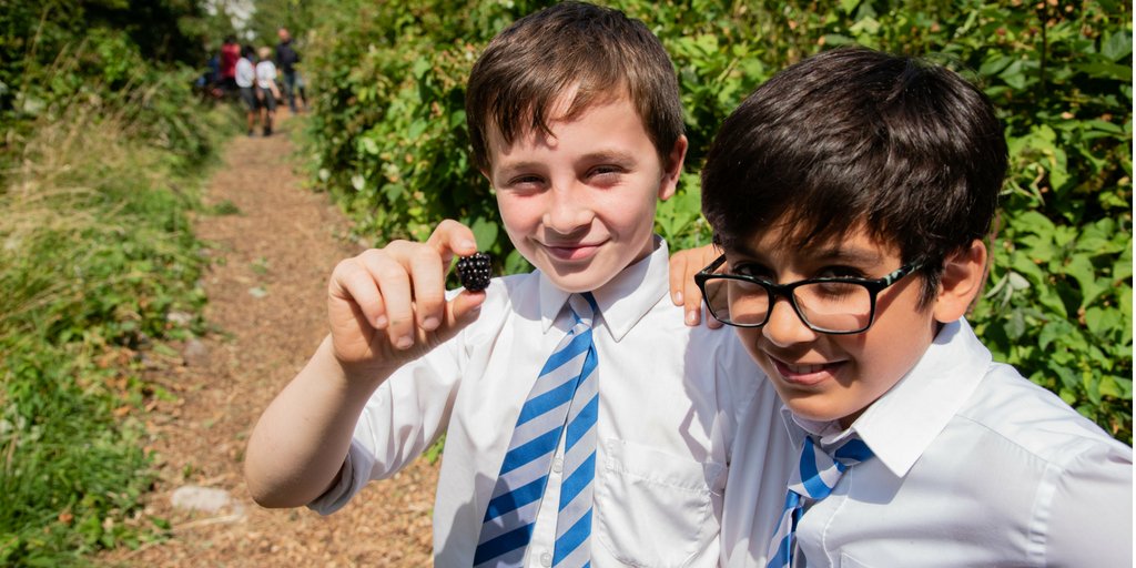 Can every city be a food growing city? Journal article by <a href="/UWEBristol/">UWE Bristol</a> in <a href="/MDPIOpenAccess/">MDPI</a> how lessons learned from <a href="/FoodGrowSchools/">FoodGrowingSchools</a> can be applied to supporting the development of more #sustainable #food systems-  
bit.ly/2xZbyvo