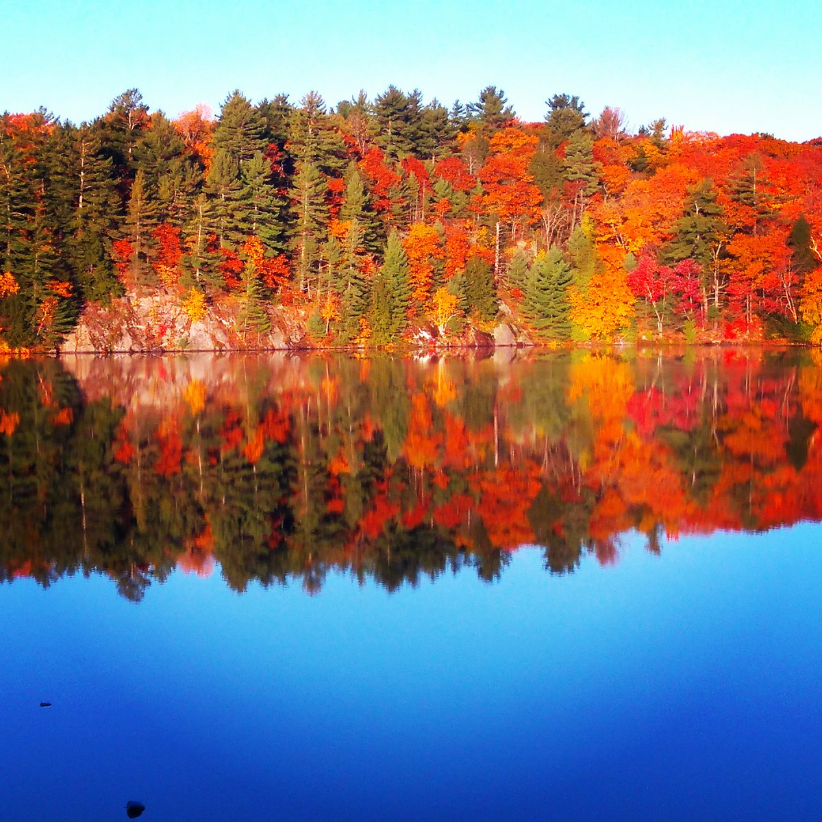 SunnyPointResor's tweet photo. All we need is a little sunshine and the spectacular fall colours show like this!  This weekend... a waterfront cottage for a family and dog, a Junior Suite with kitchen for a couple a view. We hope to see you! In #ExplorersEdge #ParrySound #ResortsOfOntario https://t.co/T6EgSNVRXZ
