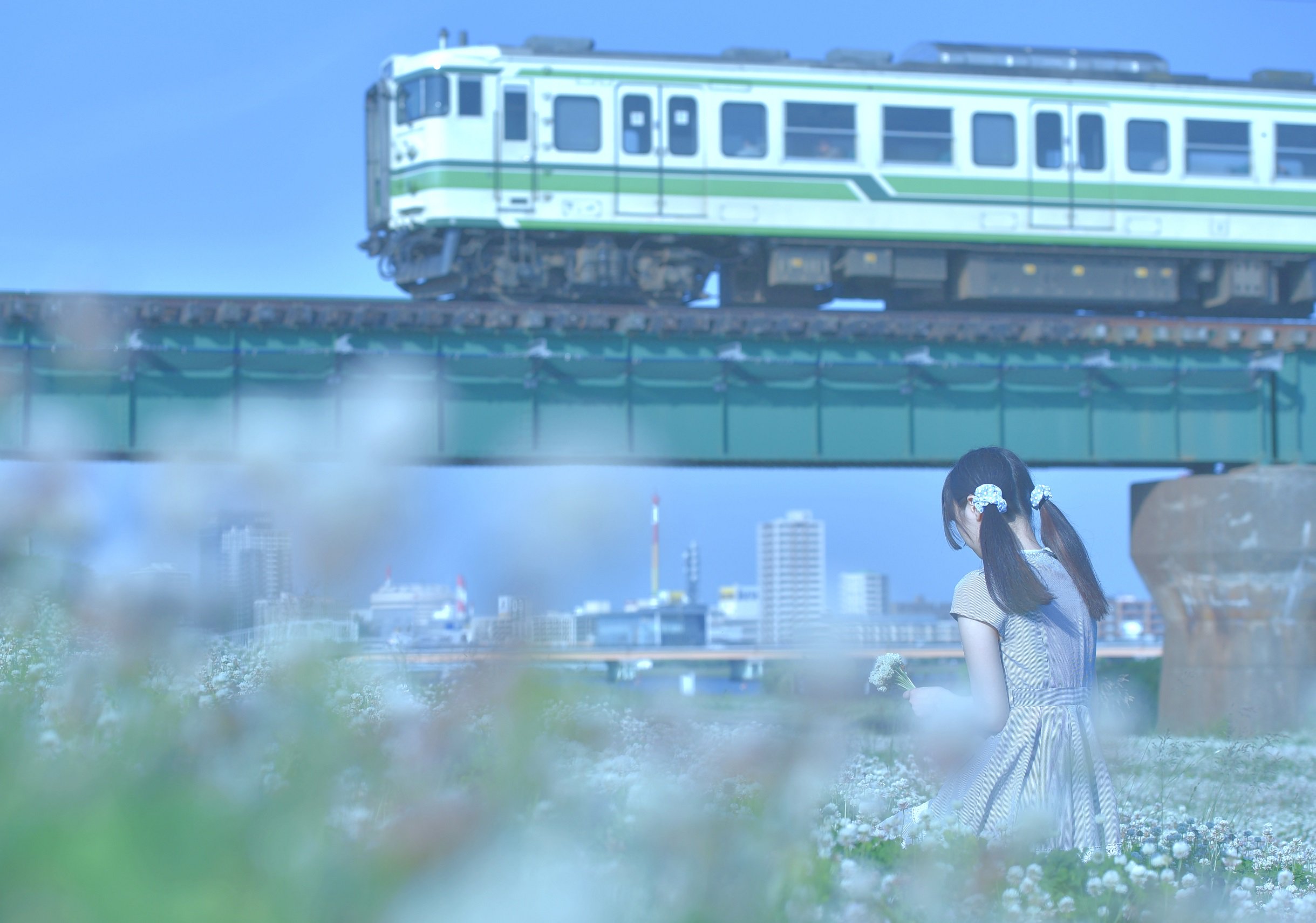 こけだま写真館 En Twitter 越後線の撮影地 初心者 白山鉄橋 優しいオタク 越後赤塚の跨線橋 じっくり育成したいオタク 越後南線 沼に引きずり込むオタク 白山鉄橋 話しかけてはいけないオタク 白山鉄橋 末期 白山鉄橋 T Co Ahrclr3j07