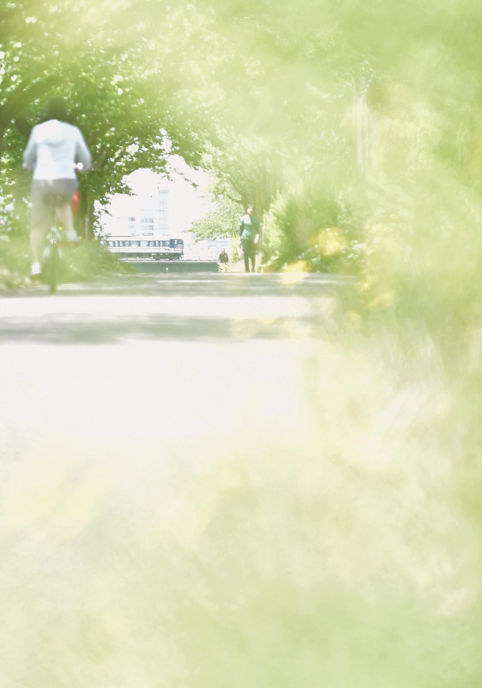 こけだま写真館 En Twitter 越後線の撮影地 初心者 白山鉄橋 優しいオタク 越後赤塚の跨線橋 じっくり育成したいオタク 越後南線 沼に引きずり込むオタク 白山鉄橋 話しかけてはいけないオタク 白山鉄橋 末期 白山鉄橋 T Co Ahrclr3j07