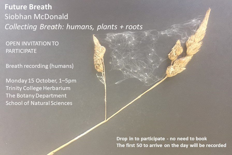 TCDcreates's tweet image. OPEN INVITATION TO PARTICIPATE in @SioMcDonald Trinity Creative Challenge artwork - Breath recordings on Monday 15 October, 1pm – 5pm  in Trinity College Herbarium @TCD_NatSci. More info: tcd.ie/trinity-creati… #TrinityCreativeChallenge #create @tcddublin @tcdglobal @tcdalumni