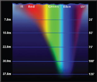 lupine_online's tweet photo. Underwater Optical Image Processing by Mohammad R Khosravi in #lupinepublishers in #MAOPS- https://t.co/tdFIQ6Dvvz https://t.co/yYkhKhgFms