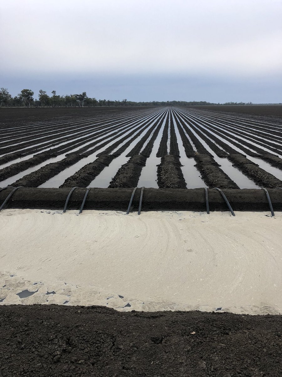 Daniel Taunton tweet media