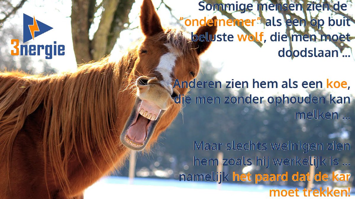 Ondernemende dieren
Prachtige quote van Sir Winston Churchill
4 oktober 2018, #dierendag