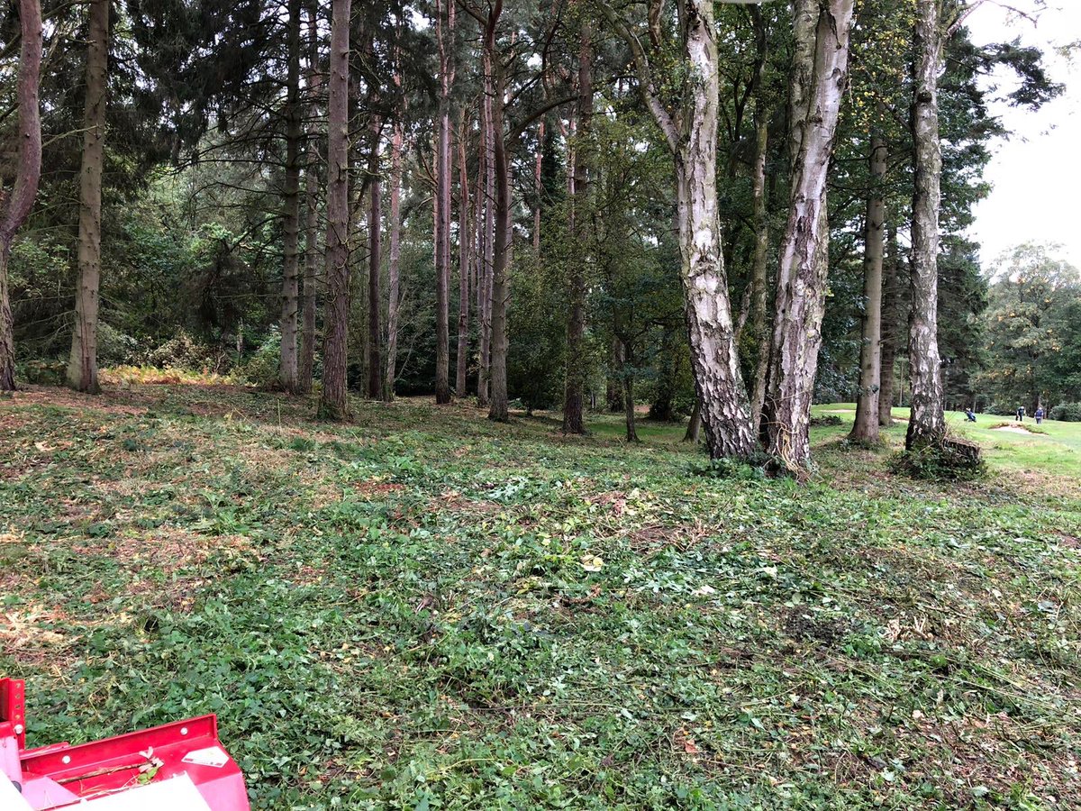 BunkerMat_com's tweet photo. @Bensglaw1302 operating the #Ventrac ToughCut today @CarlisleGC Effective and Efficient Woodland Management tool. Available on Day Hire with our Operator #CostEffective #CleanandEfficient https://t.co/PLXMi1MLqR