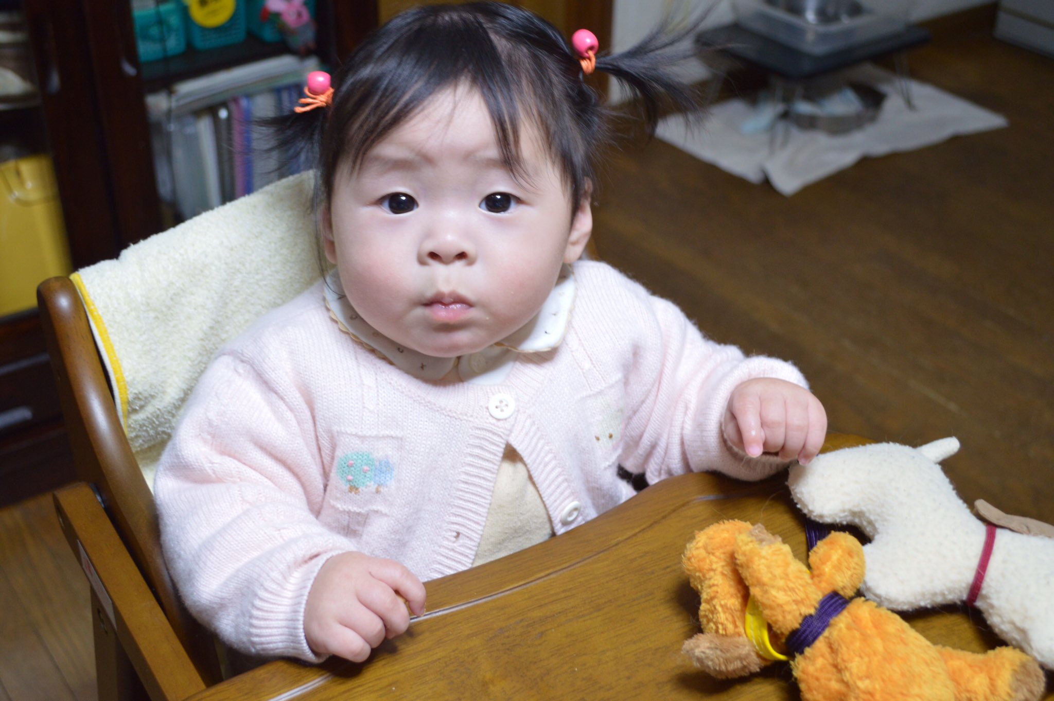 和葉 被写体 Sakiika Atarime そうなんです 生まれつき眉間にシワ子ちゃんでした 赤ちゃん の時の写真を見ても眉間のシワが T Co 9d8lkxpxtf Twitter