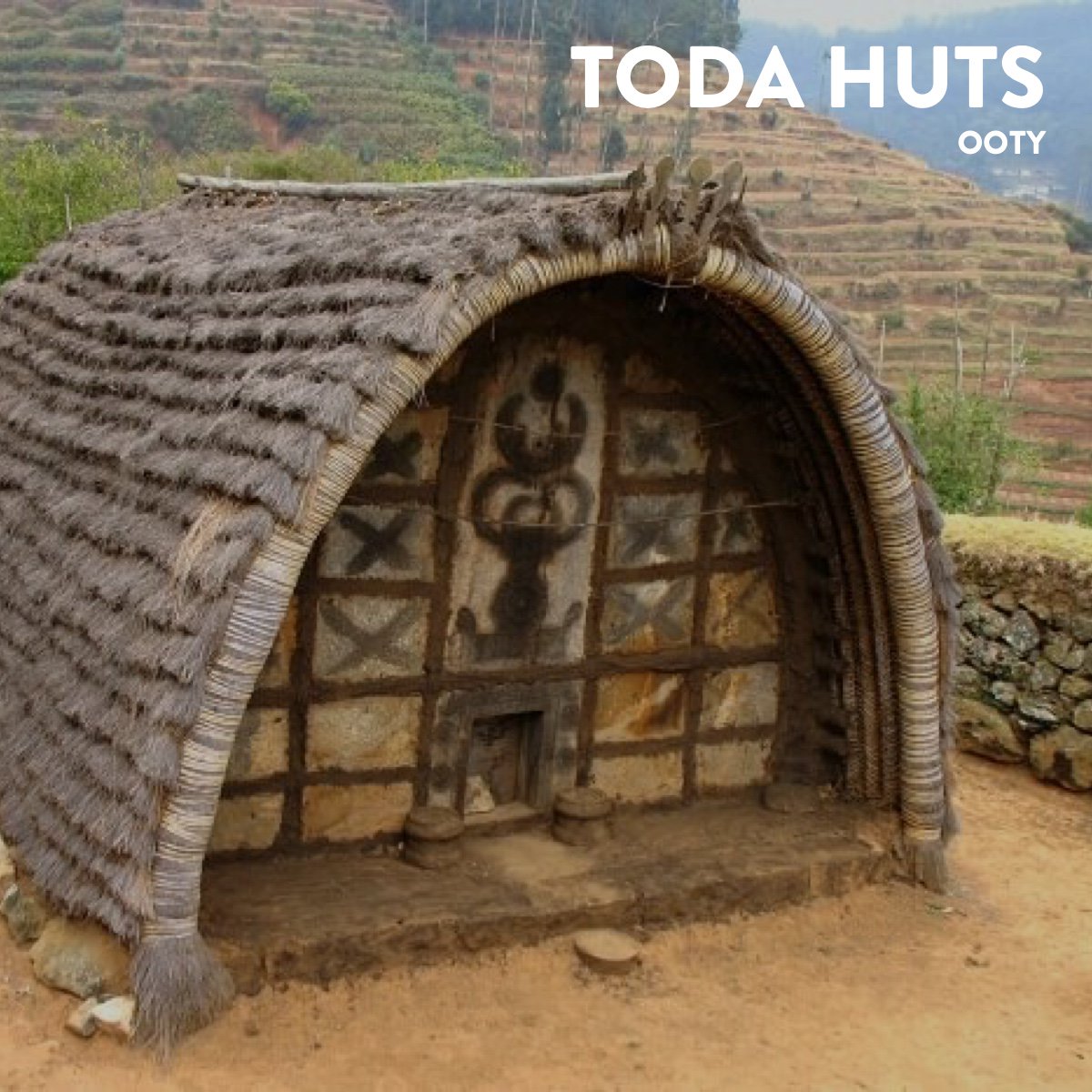 The local tribes of Ooty live in bamboo huts with thatched roofs.They have small entrance and requires one to bend to enter the hut. If you are wondering what to do in Ooty, checking these Toda huts will definitely be a lifetime experience! 
pintrip.in/Ooty #Pintrip #Ooty