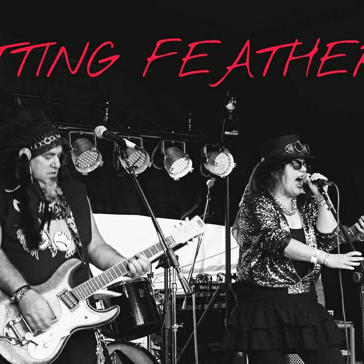 Spitting Feathers uk tweet media