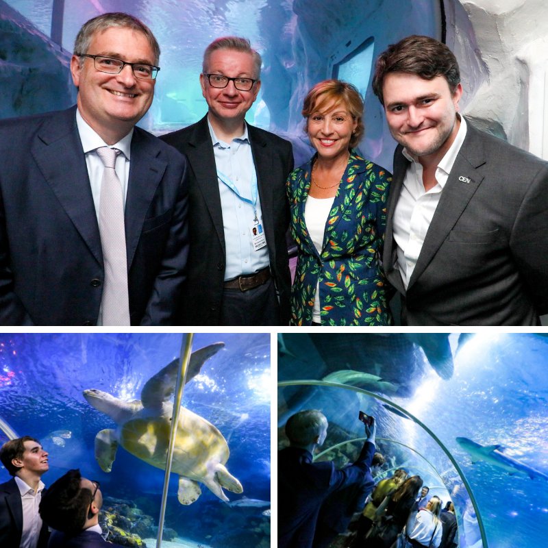CEN_HQ's tweet image. Did you know that the @sealifebham have a breed, rescue &amp;amp; protect programme and recently became the first place in the UK to successfully breed an endangered blackchin guitarfish? We hosted our opening #CPC2018 reception there on Sunday. #WorldAnimalDay #FishareAnimalstoo