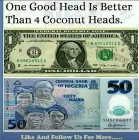 ifeanyijob1's tweet image. Not true