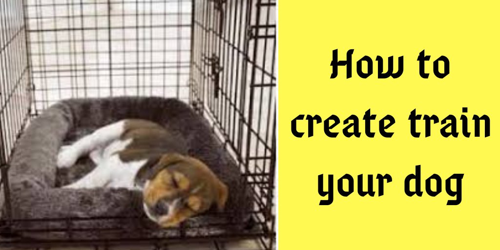 DogsZoom's tweet image. How to crate train your dog. Article below
dogszoom.com/how-to-crate-t…