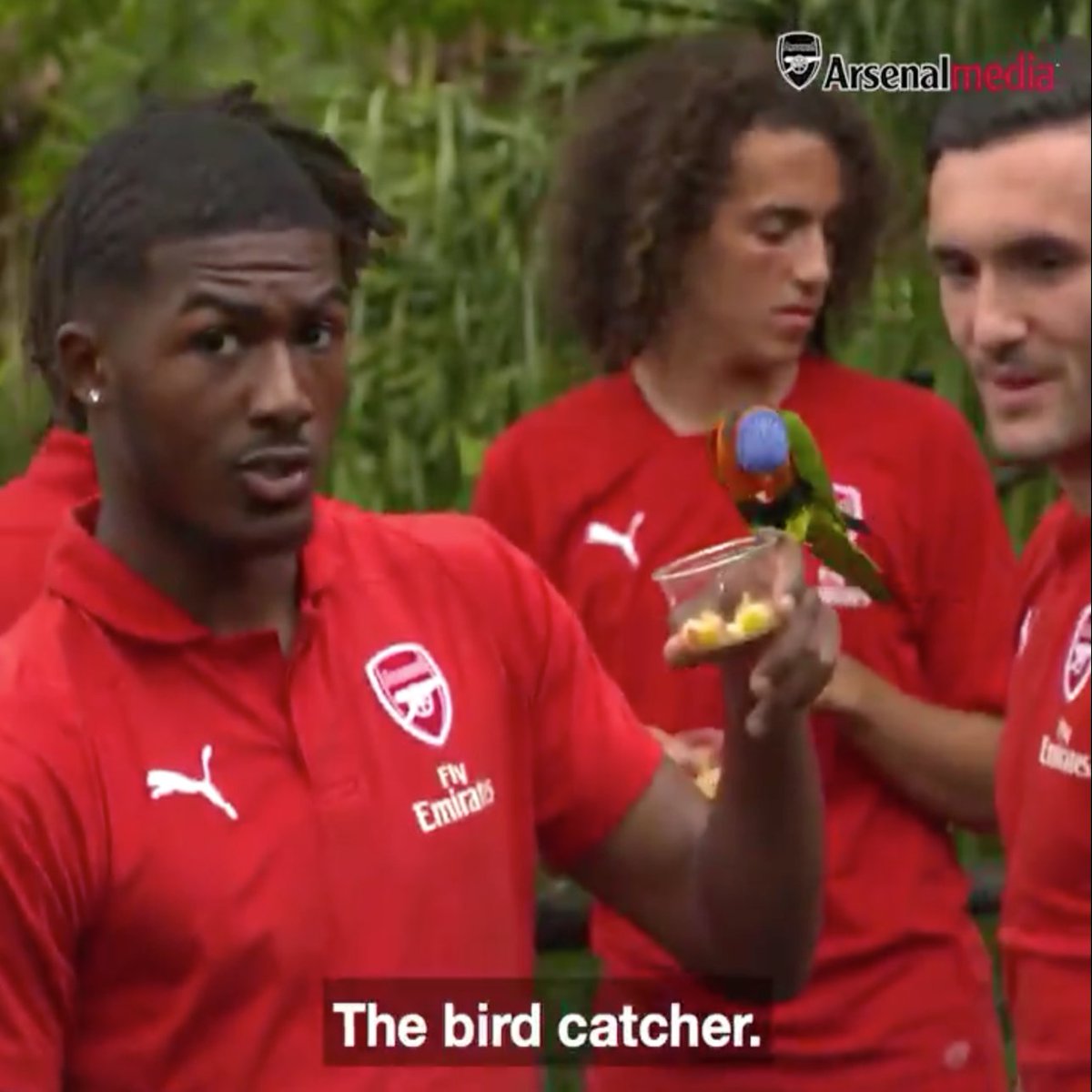 Arsenal tweet picture