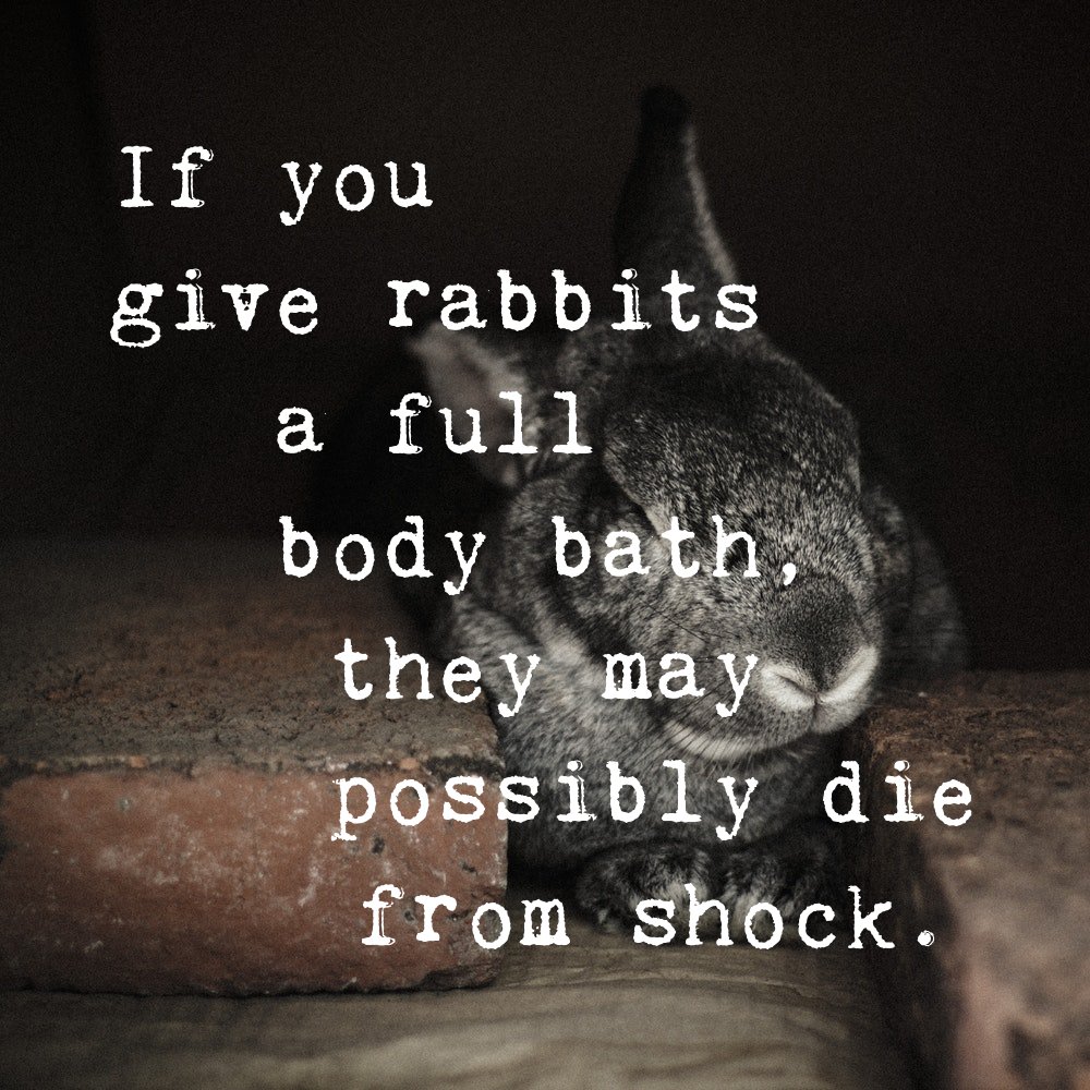 MHewitte's tweet image. 