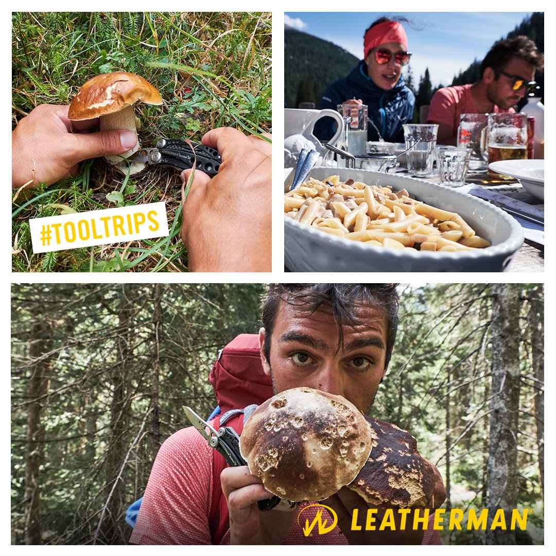 LeathermanGer's tweet photo. „Toni“ Brey war mit seinem Team in den Dolomiten unterwegs, als die Gruppe an Steinpilzen vorbeikam. Schnell zog Toni sein Skeletool und erntete die Leckereien. Ergebnis: „Penne a la Steinpilze“ zum Mittagessen. Credits: Brey-Photography #LeathermanDE #ToolTrips #puremontain https://t.co/KXvwX7TNZ0