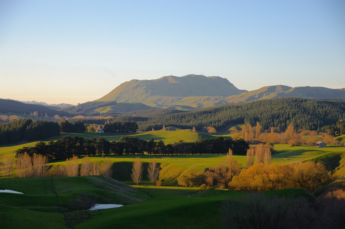 PerformanceFert's tweet photo. Happy National Golf Lover's Day ⛳ 
We'll see you out there!
#NationalGolfLoversDay #PartnersInGrowth #Grass #Green https://t.co/N4A2lpjK0F