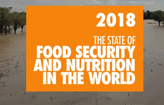 Syngenta's tweet photo. For the 3rd year in a row, there has been a rise in world hunger. Droughts & extreme heat โ๏ธ, floods ๐ง๏ธ, storms โก๏ธ & extreme climate events are one of the reasons that the number of hungry is increasing. The #SOFI2016 by the @FAOnewsroom explores why https://t.co/hALOdAktO1 https://t.co/WJNaudhHVN