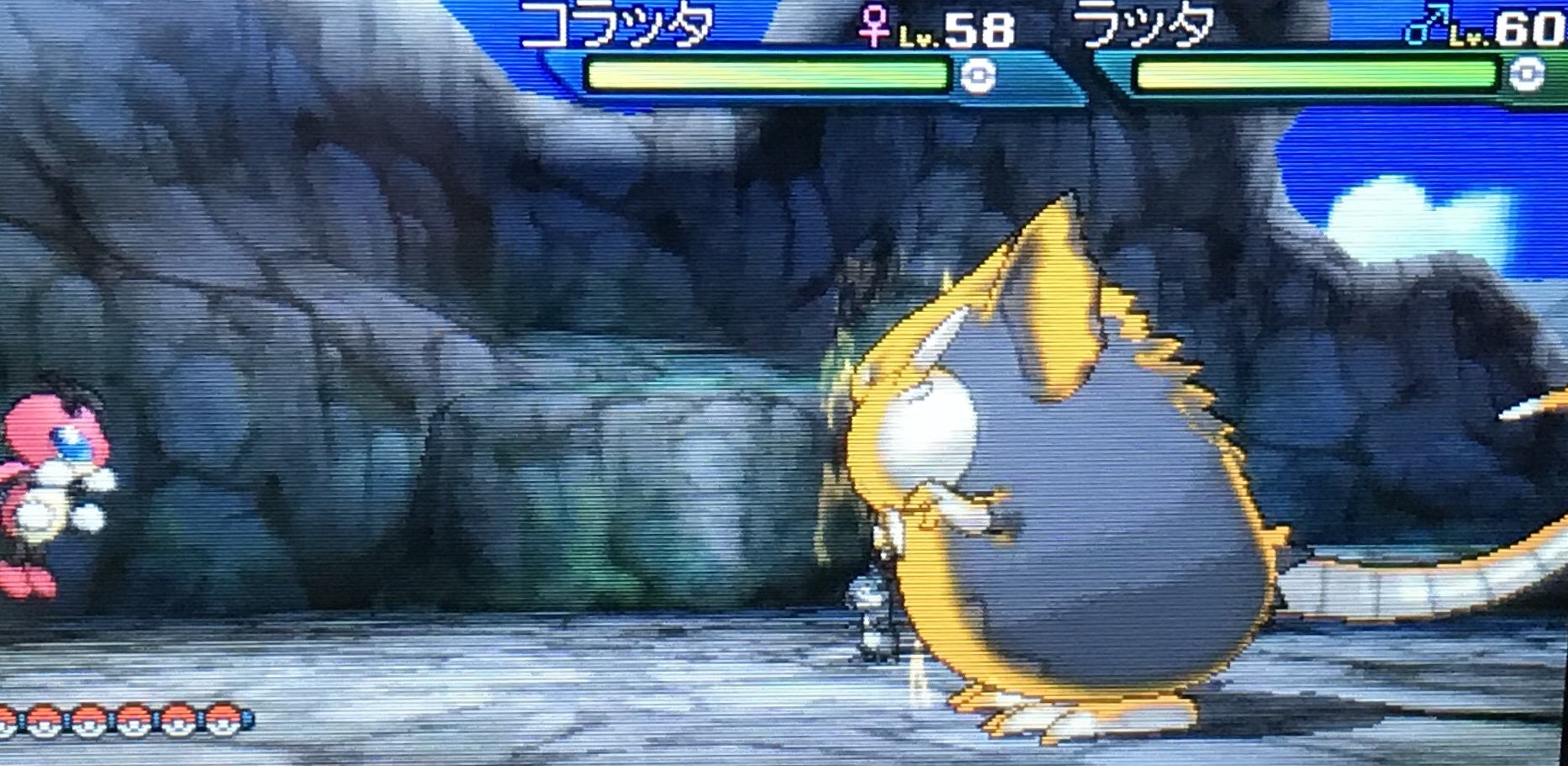 ガラパゴスゾウガメ もっと島巡り イリマくんちに遊びに来た さすが学園のプリンスは 言う事が違うなあ 一戦交えた後 大切なものを託されて ぬしラッタ ア と再戦する事に lv 60 強い ガラパゴスゾウガメ もっと島巡り イリマくんちに遊びに来た さすが学園のプリンスは 言う事が違うなあ 一戦交えた後 大切なものを託されて ぬしラッタ ア と再戦する事に lv 60 強い