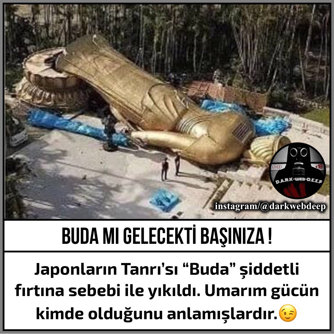 DarkWebDeepT's tweet image. #hanineredetaptıklarınız