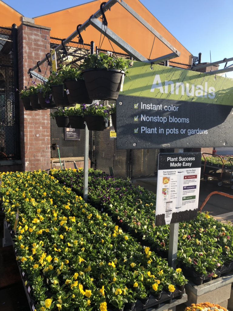 Darla_K_Davis's tweet photo. Inverness 875 showing their customers they are #Fall ready!! @RamboNursery @freddyplants @BenRambonursery @aaronpricerambo @1sherredavis @niqueurholiness https://t.co/EEcPPpjPbM