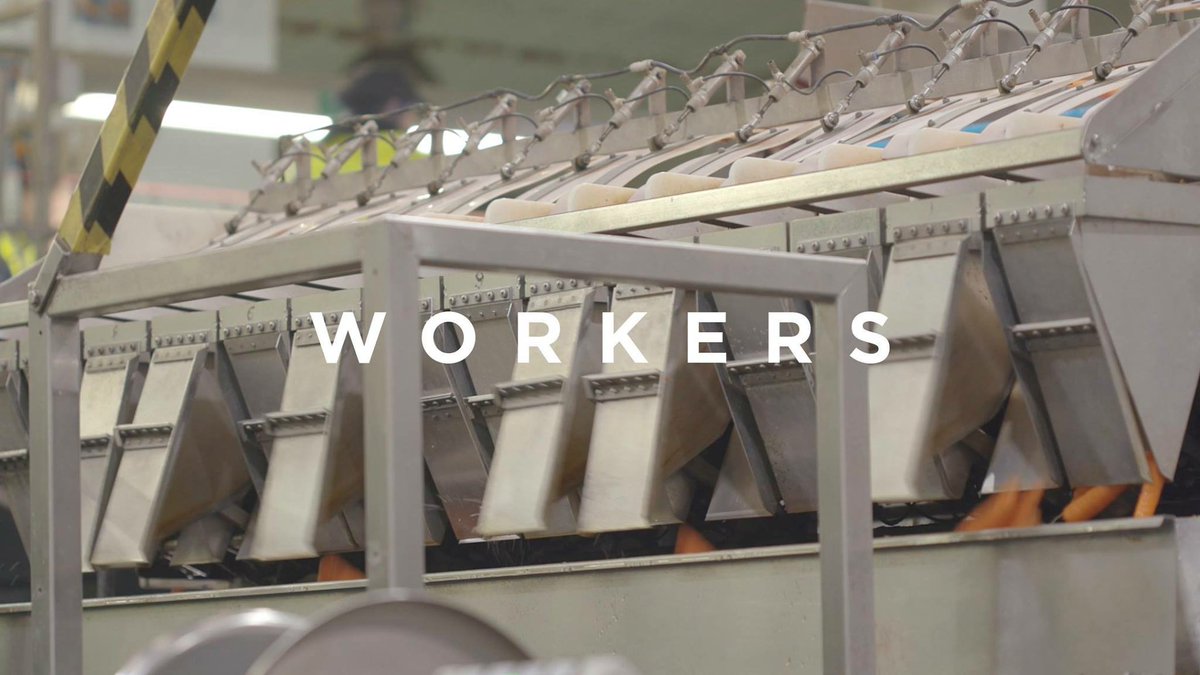 Our 10 part documentary exploring the working conditions in contemporary warehouses and food factories is now available online...

creativeinterruptions.com/workers/

#shortfilm #warehouse #warehouseworkers #exploitation #capitalism