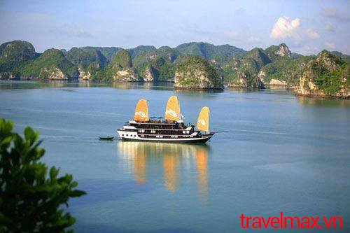 Travelmax5 tweet picture