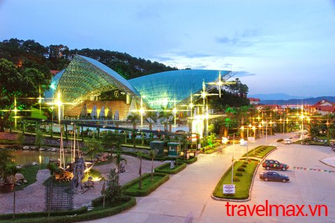 Travelmax5 tweet picture