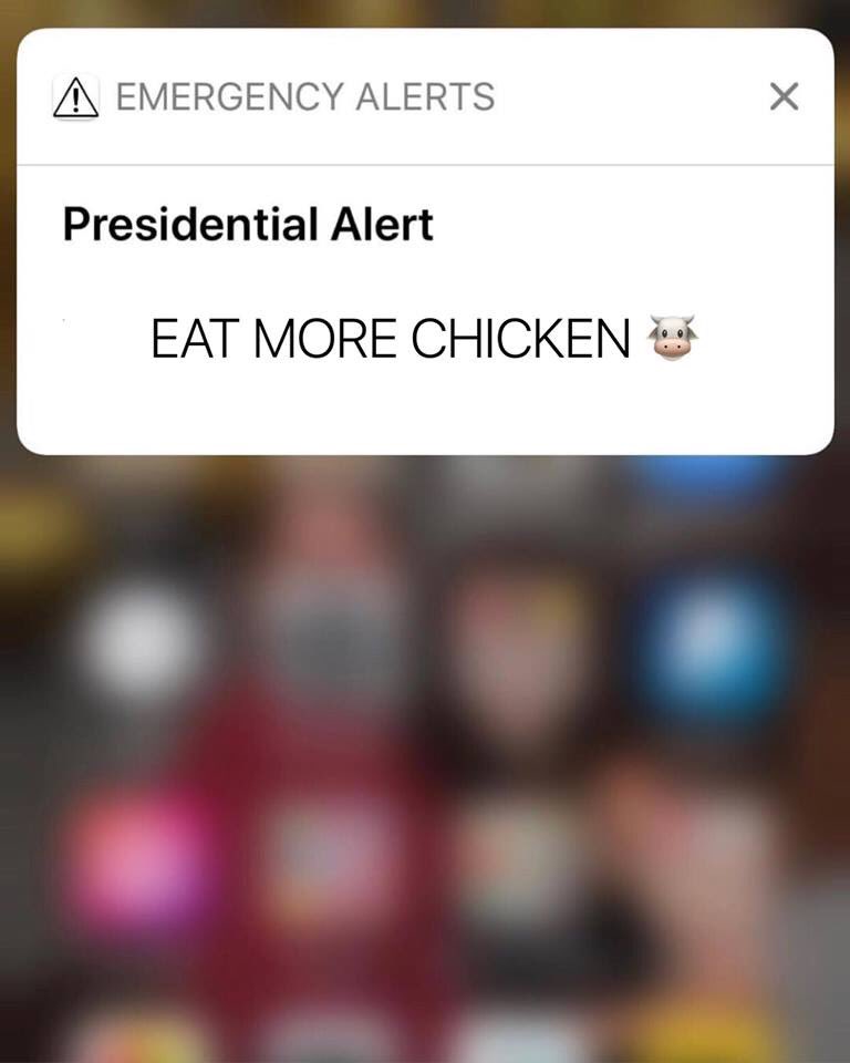 taylorscottbike's tweet image. 🐄😂🐮 @ChickfilA #PRESIDENTALALERT #PresidentialAlertSystem