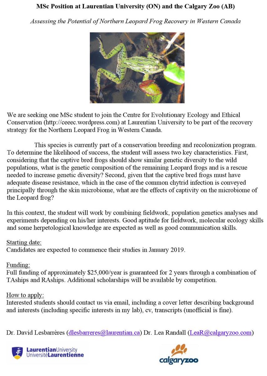 Algonquin Wildlife Research Station (@algonquinwrs) on Twitter photo Funded MSc opportunity w/ <a href="/sudburyfrog/">David Lesbarrères</a>, <a href="/LaurentianU/">Laurentian University - Université Laurentienne</a>, <a href="/calgaryzoo/">Calgary Zoo</a>, <a href="/CEEEC_LU/">CEEEC</a>. Northern Leopard #Frog recovery in western Canada. Addressing genetic diversity and skin #microbiome in a captive breeding colony. Spread the word!
#AmphibiousAF #Amphibian #Conservation #GradLife Funded MSc opportunity w/ <a href="/sudburyfrog/">David Lesbarrères</a>, <a href="/LaurentianU/">Laurentian University - Université Laurentienne</a>, <a href="/calgaryzoo/">Calgary Zoo</a>, <a href="/CEEEC_LU/">CEEEC</a>. Northern Leopard #Frog recovery in western Canada. Addressing genetic diversity and skin #microbiome in a captive breeding colony. Spread the word!
#AmphibiousAF #Amphibian #Conservation #GradLife