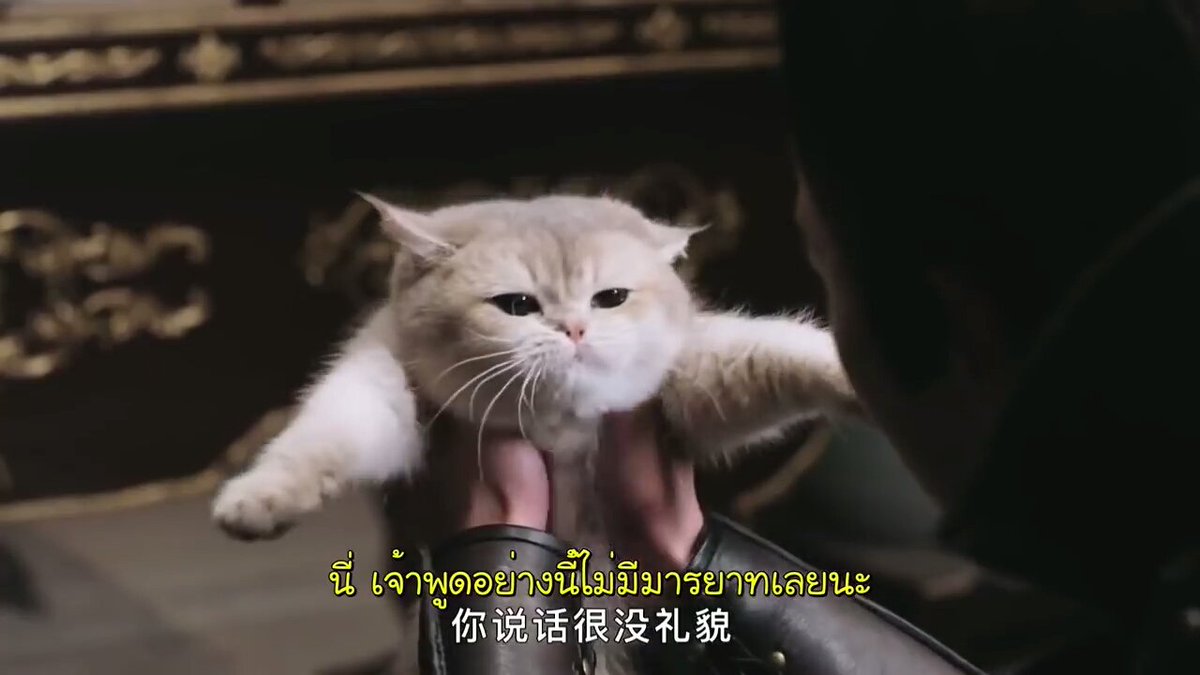 เปงบาร์เปงบอออ tweet media