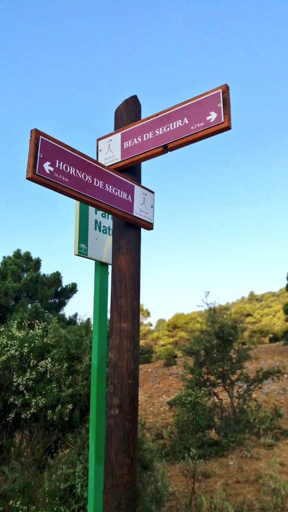 Camino de la Cruz de Caravaca tweet media