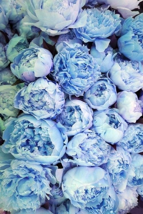Octaviarpg_'s tweet photo. 𝙱𝚞𝚝 𝚢𝚘𝚞 𝚊𝚛𝚎 𝚖𝚎 𝚖𝚘𝚘𝚗. 𝙰𝚗𝚍 𝚖𝚢 𝚜𝚞𝚗. 𝙰𝚗𝚍 𝚖𝚢 𝚜𝚝𝚊𝚛𝚜. 💙 https://t.co/hhUZMUBQTS
