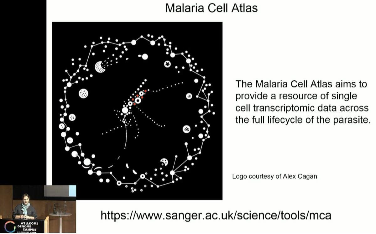 Malaria parasites transcriptomics taken to the next level! sanger.ac.uk/science/tools/… Great talk by @marakat @sangerinstitute #WomenInParasitology