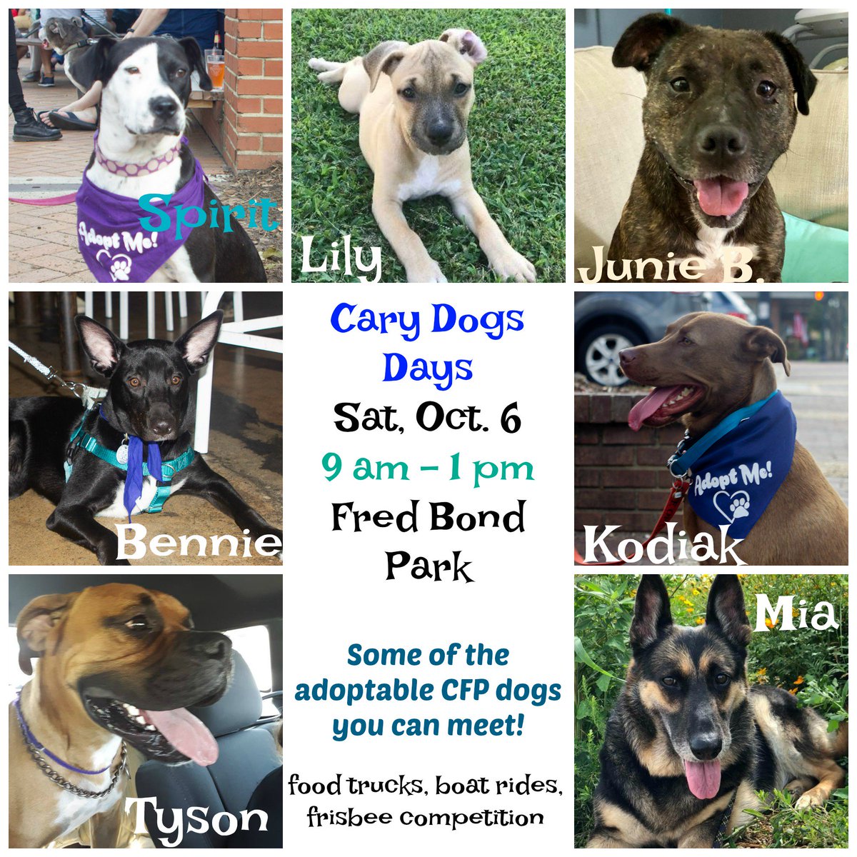 Cause for Paws of NC tweet media