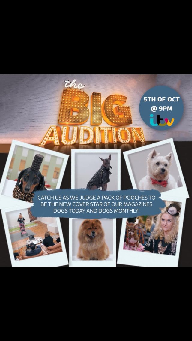 Ok everybody I want you to watch or record this show tomorrow night ITV 9.00
' Archie ' is on tele doing his bit ..... 🐾  Proud of our Westie