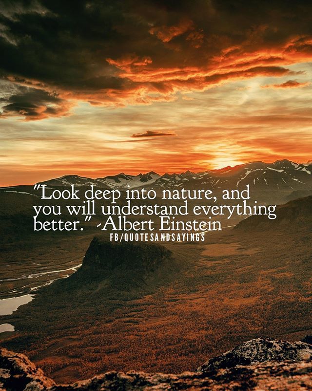 Motivational Quotes on Twitter: "Look deep into nature, and you will understand everything better. Einstein #quotes #quote #quoteoftheday #qotd #inspirationalquotes #motivationalquotes #success #motivational https://t.co/1LPTYG5jLX https://t.co ...