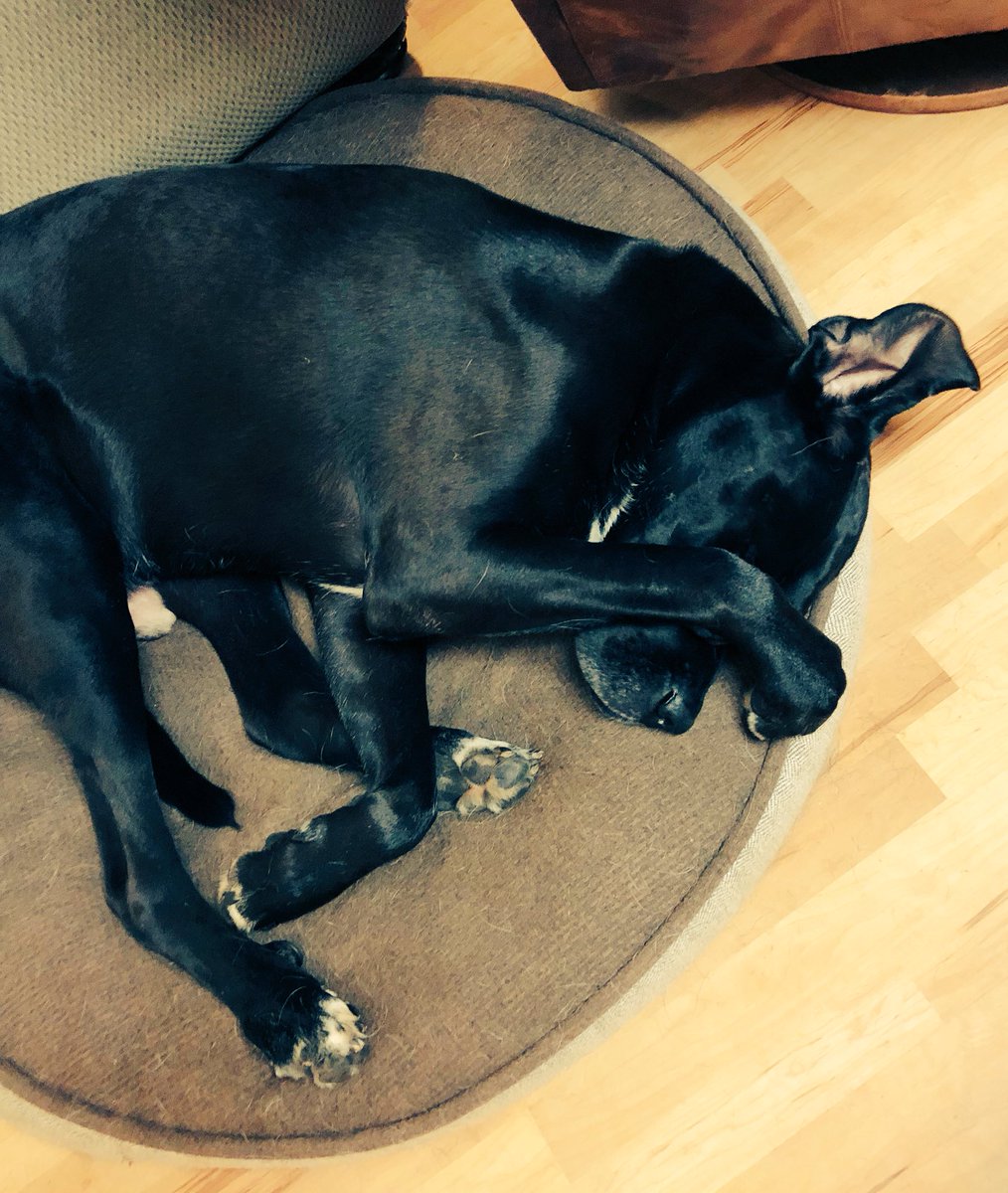 OatFloat's tweet image. It’s been one of those days already...