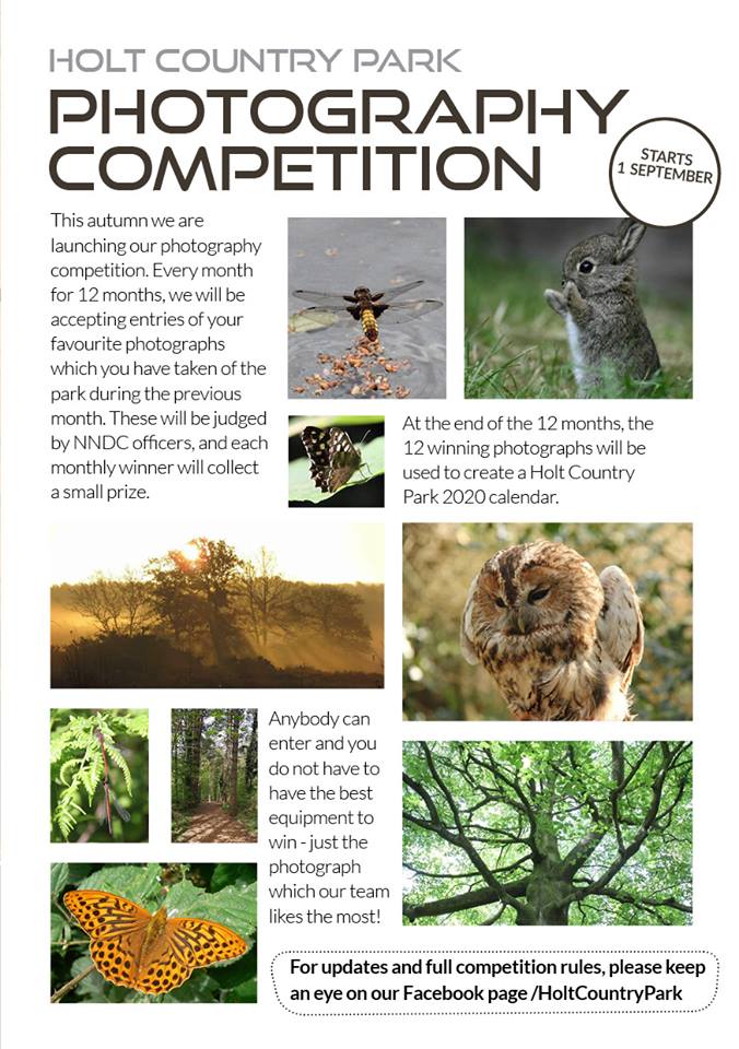 Holt Country Park tweet media