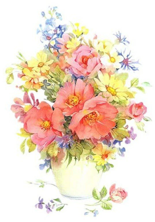 Men Alyemen tweet media