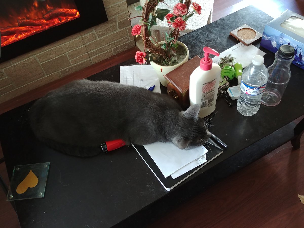 princesscujocat's tweet photo. Now mom remembers why she got rid of the coffee table years ago. https://t.co/T6b7VYu1EM