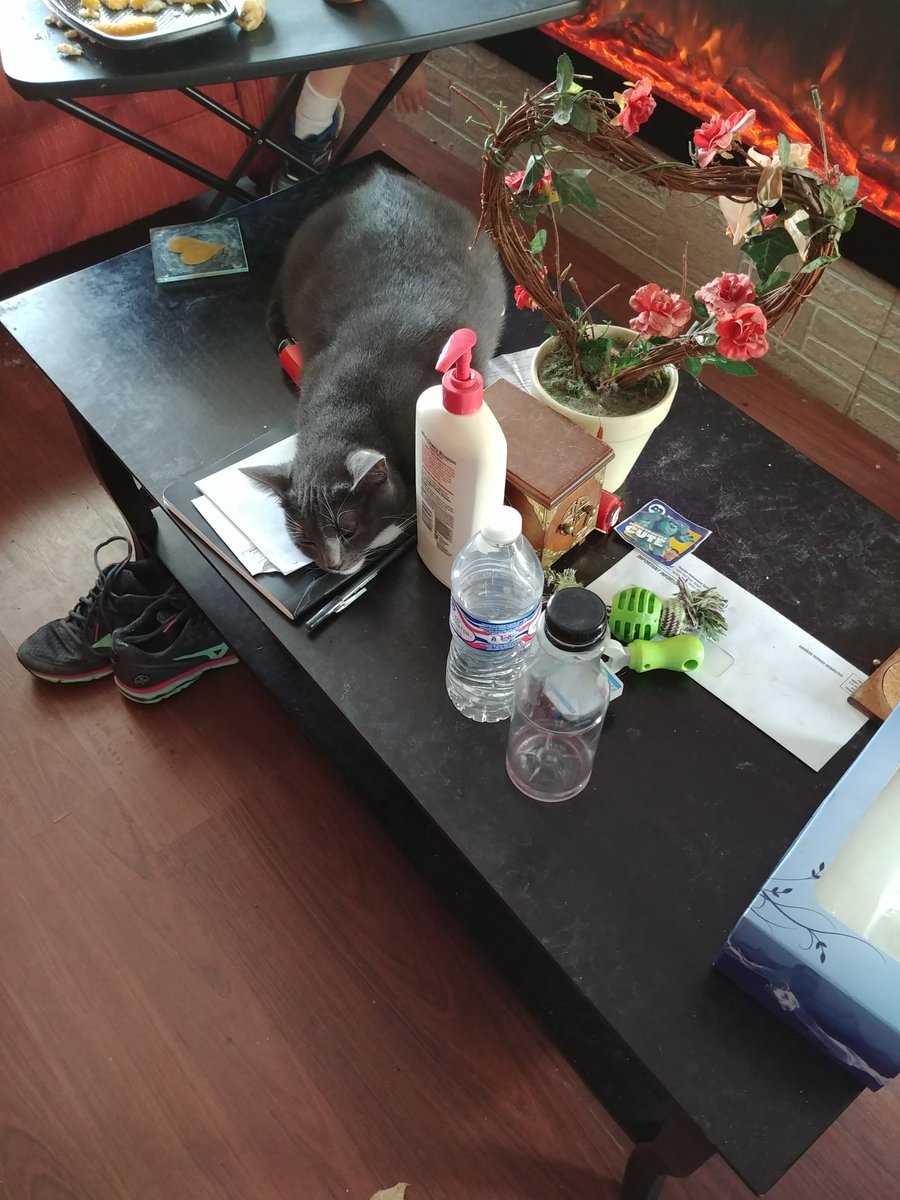 princesscujocat's tweet photo. Now mom remembers why she got rid of the coffee table years ago. https://t.co/T6b7VYu1EM