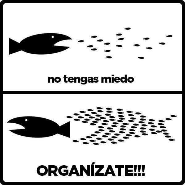 NicasRd's tweet photo. Unidos es como lograremos sacar a  #Nicaragua de esta terrible pesadilla llamada #OrtegaMurillo #SOSNICARAGUA #SOSNicaraguaGlobal #ProhibidoOlvidar #NicaraguaLibre #NicasEnRD https://t.co/0jwPD867d3