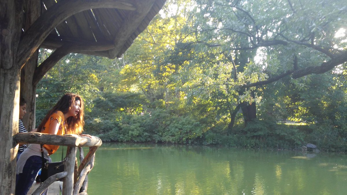 Beautiful taken pics in my trip to New York with my friends.#NewYork #photography #photograph #centralpark.