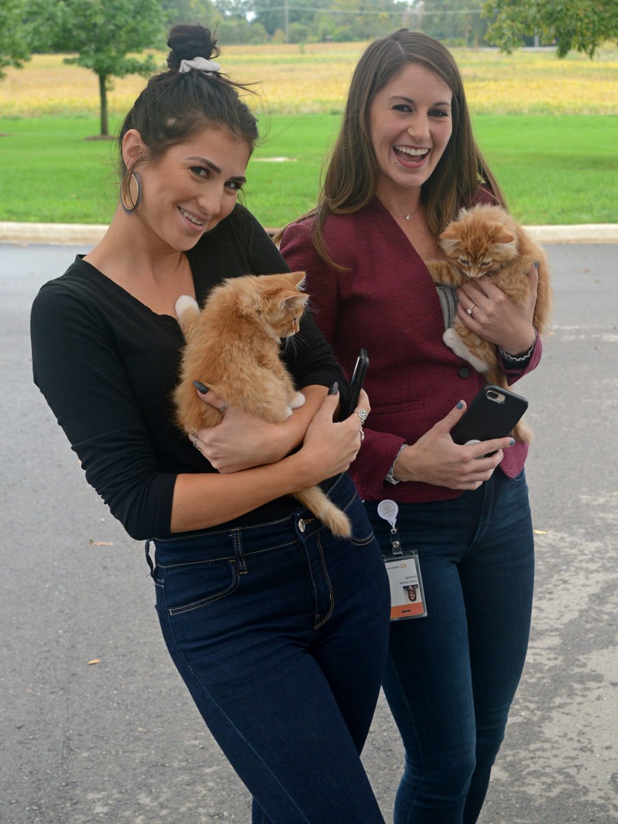 TaxAcctFirmsUSA's tweet photo. Employees in #AnnArbor donated $5 to get 5 minutes to play and cuddle with kittens and dogs on Tuesday. What a nice break in the #workingatTR day, and all proceeds went benefit the @HSHV! https://t.co/K6G1hXuxNP