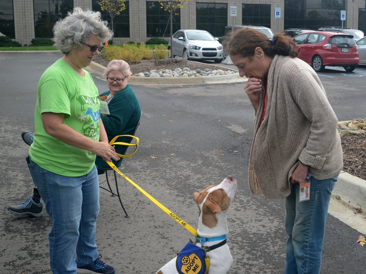 TaxAcctFirmsUSA's tweet photo. Employees in #AnnArbor donated $5 to get 5 minutes to play and cuddle with kittens and dogs on Tuesday. What a nice break in the #workingatTR day, and all proceeds went benefit the @HSHV! https://t.co/K6G1hXuxNP